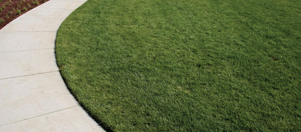 ftr-curvedlawn ftr-curvedlawn